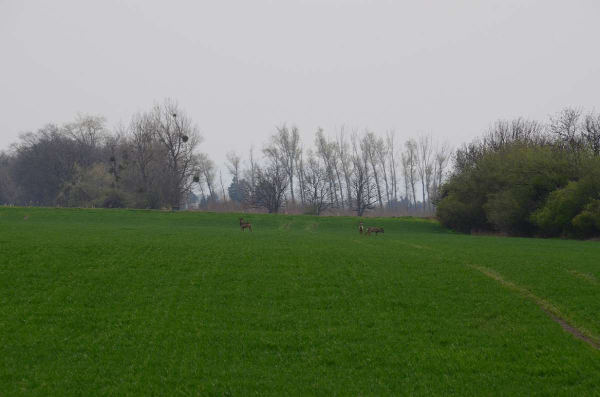 2014-03-31 15-10-19.JPG